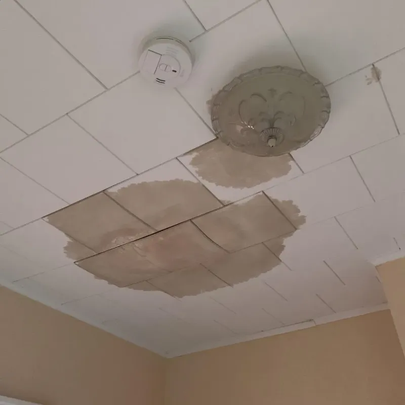 Ceiling Water Damage Repair in Slayton, MN
