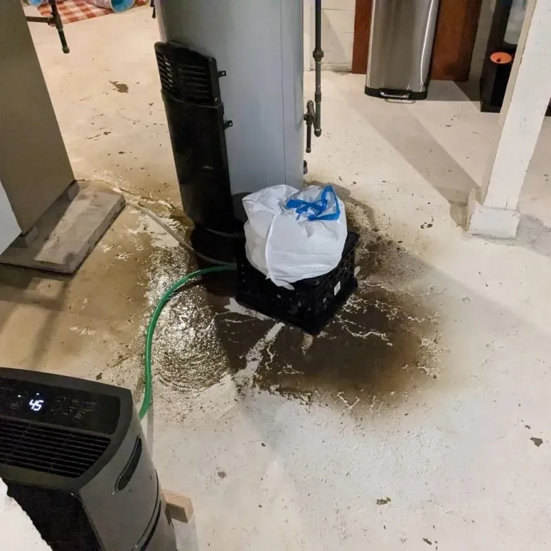 Sewage Backup Cleanup Service in Slayton, MN